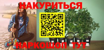 стафф Дубна