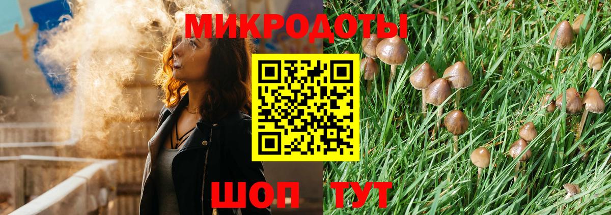 Назрань  Псилоцибиновые грибы Psilocybine cubensis  Вход с VPN 